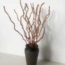 Dried Curly Willow Branches, 14-15 Stems Dried Twigs Sticks 21-23 Natural Dried Plants Decorative Branches for Rustic Home Decor, Champagne Gold