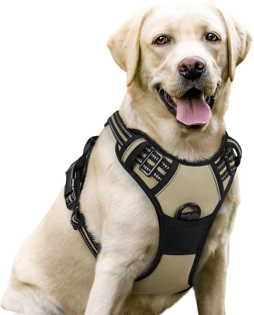 rabbitgoo Dog Harness No Pull with 2 Leash Clips, Adjustable Soft Padded, Reflective Oxford No Choke Pet Vest with Easy Control Handle for Large Dogs, Beige, Large