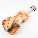 Aliyes Electric/Acoustic Violin Set for Beginners 4/4/Full-size Special Designed with Hard Case,Bow,Extra Strings -1503
