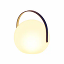 Globe Indoor/ Outdoor Lantern
