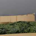 2Pcs 9FT Christmas Cedar Garland Artificial Real Touch Thickness Realistic Greenery Pine Garland for Mantle Fireplace Outdoor Indoor Christmas Decorations (9FT With Wire)