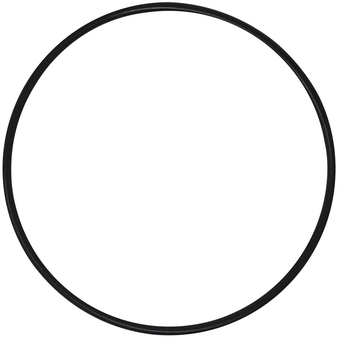 AppliaFit 25 Cord O-Ring Compatible with Pentair 24850-0009 for Select Pentair Sta-Rite System 3 Filters (1-Pack)