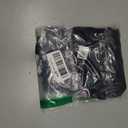 No Kings Pride Cat T-Shirt, XL