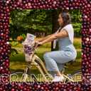 Ocean Spray Cran-Grape Juice Drink, 10 Ounce Bottle (Pack of 6) (EXP 07/28/26)