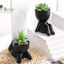 Der Rose Set of 2 Fake Plants Artificial Succulent Plants for Office Desk Accessories Black Bathroom Home Room Aesthetic Decor Indoor