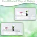 Febwind 4 Pack 24-Inch Long Clear Acrylic Floating Shelves U Shape Wall Shelf for Book Display Makeup Product Spice Organizer