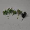 POANTA 5 Pack Assorted Artificial Succulents Air Plants Set Unpotted Realistic Greenery Plants Home Garden Decoration