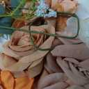 AmyHomie Champagne Artificial Flowers Combo Silk Mix Peony Rose Hydrangea Fake Flowers w/Stem for DIY Wedding Bouquets Centerpieces Arrangements Table Party Bridal Baby Shower Home Fall Decor