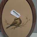 Framed Picture Of A Bird