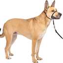 PetSafe Gentle Leader No-Pull Dog Headcollar - The Ultimate Solution to Pulling - Redirects Your Dog's Pulling for Easier Walks - Helps You Regain Control - Medium, Black