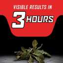 Ortho GroundClear Year Long Vegetation Killer Refill - Kills Weeds and Grasses, Prevents Unwanted Weeds and Grasses for Up to 1 Year, 1 gal.