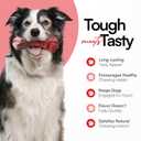 Indestructible Realistic Tough Dog Chew Toy  Natural Rubber Beef Flavor  Bone for Aggressive Chewers Long-Lasting, Teeth Cleaning, Safe & Non-Toxic (Large)