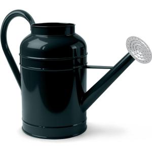 LONGRUN 2.3 Gallon Dark Green Metal Watering Can for Plants and Garden with Removable Spout, Made of Galvanized Iron