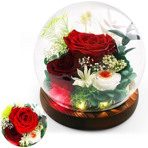 Gifts For Women Preserved Roses in Glass Dome,Red Roses Preserved Flowers Birthday Gifts for Women Red Forever Flowers for Delivery Prime Home Decor graduation gifts for her