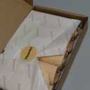 BATTEWA Incontinence Underwear for Women Washable, Leak Proof Underwear High Waist Cotton,Bladder Leakage 50ML (5Beige, XL, 5 Pack)