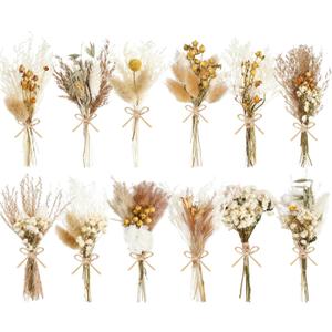 12/24 Pack Dried Flowers for Vase Various Mini Bouquet Dried Small Wildflowers Natural Real Flowers Bulk for Crafts DIY Wedding Decor (12, Plain Colour)