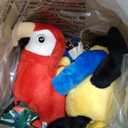 Birds 2 Pack - Oriole & Red Parrot - Slap Bracelet Interactive Plush Toy Birds, They Chat-Sing-Mimic Each Other, Flap Wings, Kids 3+