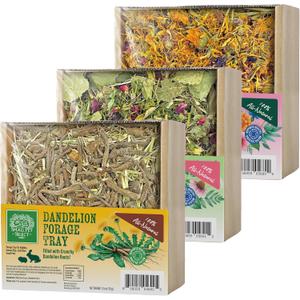 Small Pet Select Forage Tray Bundle, 3 Pack of Foraging Trays for Rabbit, Guinea Pig, Hamster or Bunny - Natural Treats, Dandelion, Flower, Herb Mix 2.5oz Each