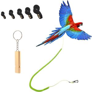 Parrot Bird Harness Leash Anti-bite Outdoor Flying Training Rope with 5pcs Different Sizes of Soft Foot Loops and Training Whistle(Upgraded Version of Ankle Ring)