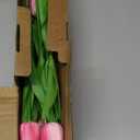Sggvecsy 15 Pcs Fake Tulips Artificial Flowers Real Touch PU Faux Flowers Tulip Stems for Wedding Spring Bouquet Floral Arrangement Home Party Office Decorations for Mother's Day (Rose Pink)