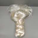 Disguise Disney Elsa Frozen 2 Womens' Adult Wig, Blonde, One Size Adult