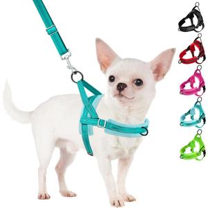 SlowTon No Pull Small Dog Harness and Leash Set, Puppy Soft Vest Harness Neck & Chest Adjustable, Reflective Lightweight Harness & Anti-Twist Pet Lead Combo for Small Medium Dogs(BL-Front Clip,XXS), Teal 