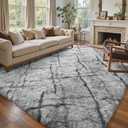 6x9 Ft Large Shag Rugs for Living Room Decor, Tie-Dyed Ultra Soft Fluffy Furry Area Rugs for Bedroom Indoor Floor, Aesthetic Carpet for Kids Home (Grey)