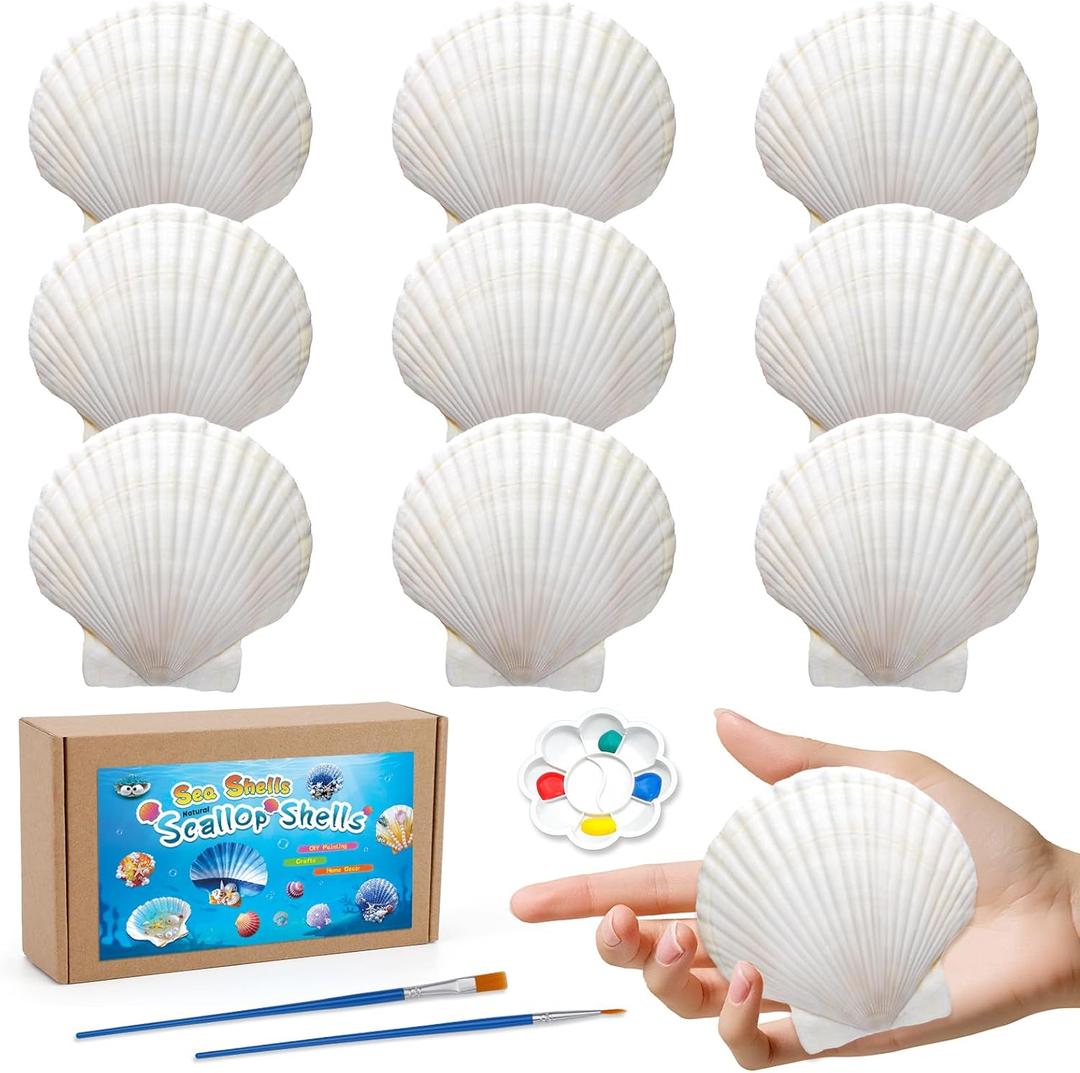MORFEN 10 PCS Scallop Shells, Seashells for Crafts, 4''-5'' White Sea Shells for Crafting Decorating Painting, Large Seashells to Paint DIY Craft Beach Wedding Party Decorations