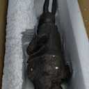 NIKKY HOME Easter Bunny Decorations, Vintage Resin Bunny Figurine with Lantern, Metal Rabbit Tealight Candle Lantern Holder Rabbit Outdoor Statues Gift for Garden Home