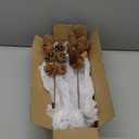 Deloky 2 PCS Large Natural Pinecone Branches Ornaments-14 Inch Spray Pinecones Picks Stmes-Pine Cones for Crafts Flower Arrangement Fall Thanksgiving Christmas Decor