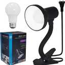 Xtricity LED Desk Light, 360 Adjustable Gooseneck, Home and Office Lamp with 7W A19 Bulb, 120V, On/Off Switch, 14 Height - Reading Lamps for Bedside Table, College Dorm (Black Finish)