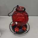 Glass Hummingbird Feeder for Outdoors Hanging, 26Oz Bird Nectar Feeder with Perch & 5 Flower Feeding Ports, Leak Proof for Outside Garden Decor Backyard, Gifts for Women Mom, Red (Red)