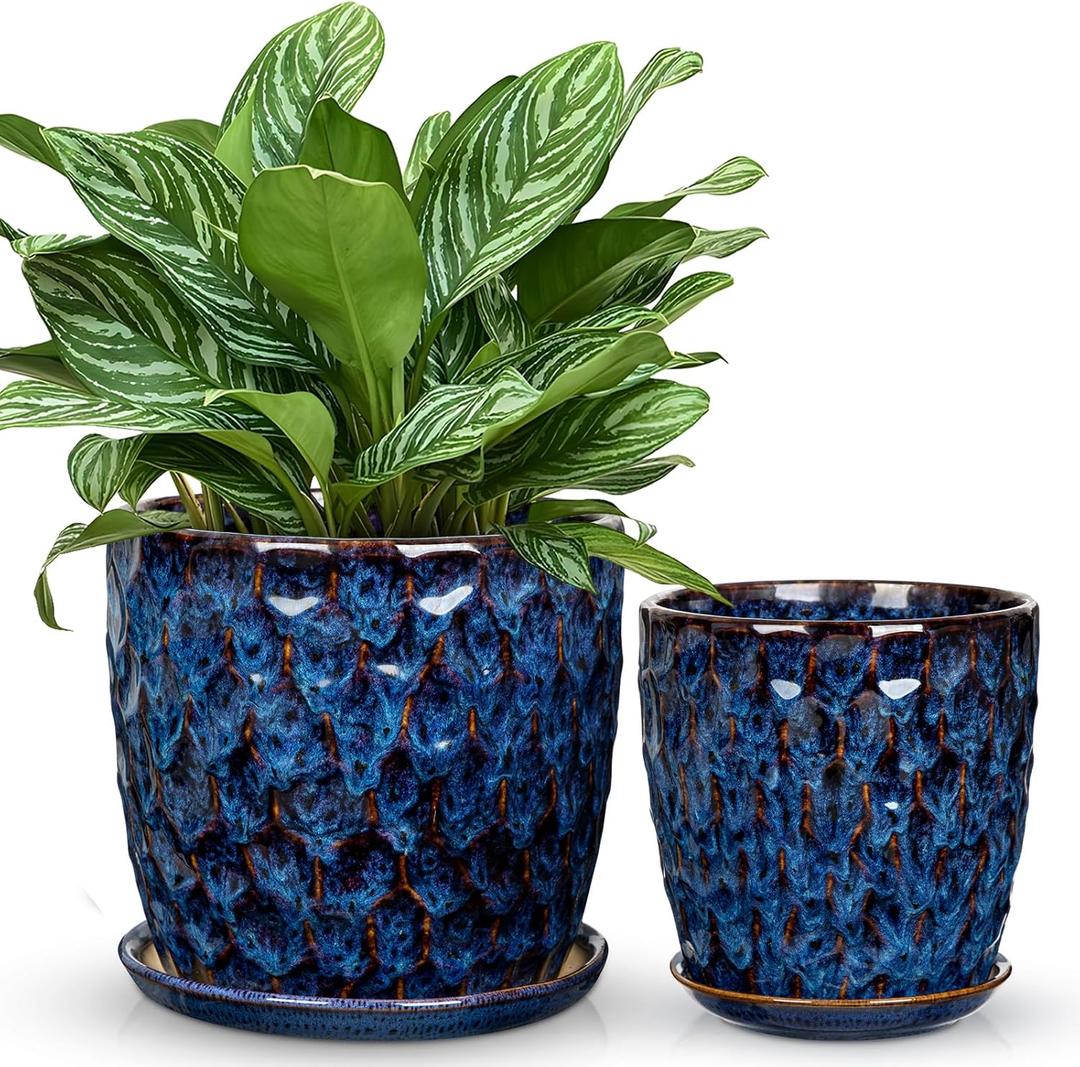 Hollyone Blue Ceramic Pot for Plants Flowers Ceramic Planter with Drainage Hole and Saucers 8 + 6.5 Inch Set of 2 Glaze Round Flower Plant Pot for Indoor Outdoor Large Succulent Orchid Flower Pot
