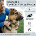 Fastener Stainless Steel Buckle for Collar & Quick Release with Easy Buckle for Large Dogs (4.0)