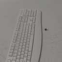 EDJO Wireless Keyboard, 2.4G Ergonomic Full Size Wireless Computer Keyboard with Wrist Rest for Windows, Mac OS Desktop/Laptop/PCWhite