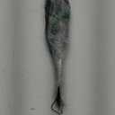 Zeyune 50 Pcs Halloween Black Artificial Branches Floral Picks Vase Filler 17.72 Inch Artificial Curly Willow and 3D Bats Wall Decals Sticker Decor Tree Glittery Flowers for Gothic Home