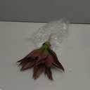 JUSTOYOU Large Artificial Succulents Aloe Plants Real Touch Fake Flowers Unpotted for Home Wedding Festival Arrangement (1, Green-Red)