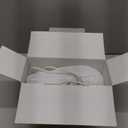 HiLIFE Upgraded Steamer for Clothes, Handheld & Portable, 1100W Powerful Steam, 300ml Big Capacity & No Leak Design, 30S Fast Heat-up, Quick Wrinkle Remover, Compact Size for Travel, ONLY 120V (5-white)