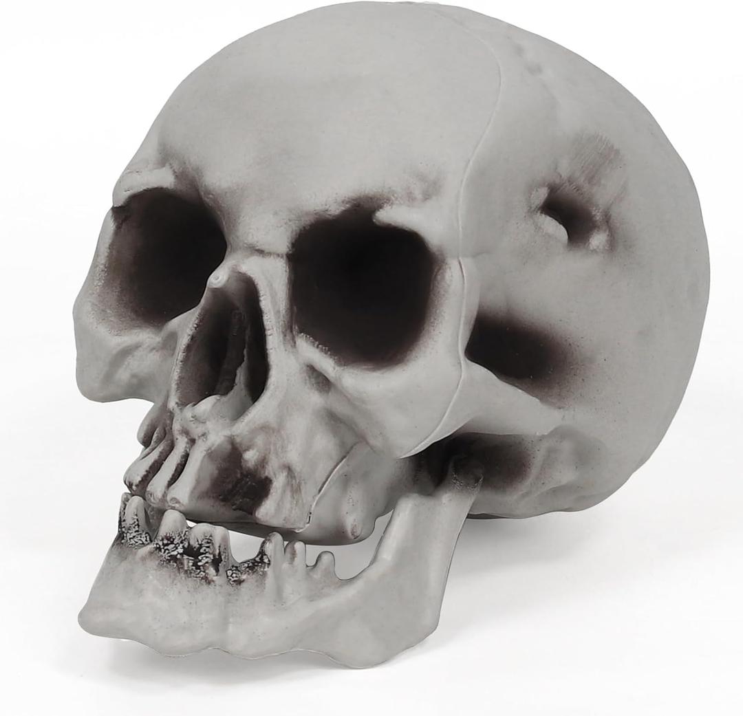 MOKRY PARTY Human Skull Skeleton Life Size for Halloween Skull Model 1:1 Replica Plastic Skull Head Graveyard Outdoor Decor