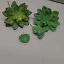 Supla 5 Pcs Assorted Artificial Succulents Plants Unpotted Small Green Cactus Echeveria Picks Fake Succulents Bulk for Succulent Garden Centerpiece Wreath Floral Arrangement Indoor Outdoor Home Dcor