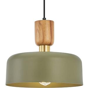 Contemporary Pendant Lighting,12 inch Pendant Lamp,Wood and Brass Accent,Adjustable Metal Hanging Light Fixture for Kitchen, Dining Room, Green
Visit the TeHenoo Store