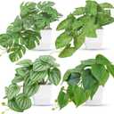 Der Rose 4Pcs Small Fake Plants Artificial Mini Faux Plants for Bathroom Office Desk Shelf Table Accessories Decor Indoor (White)