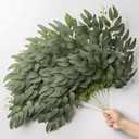 24pcs Artificial Italian Ruscus Greenery Stems 21" Faux Greenery Picks Silk Willow Leaves Stems Hanging Spray for Wedding Arch Bridal Bouquet Table Centerpieces Crafts Vase Filler Home Decor
