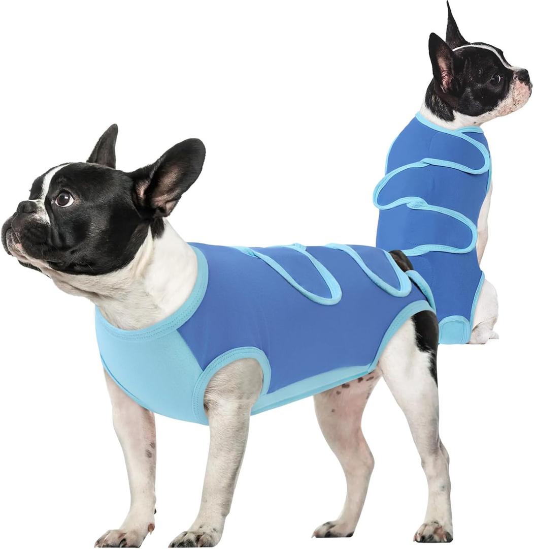 Queenmore Dog Recovery Suit, Dog Cone Alternative After Surgery Blue,S Dog Onesie, Breathable Cotton Cat Surgery Suit Female Spay, Prevent Licking Pet Recovery Suit