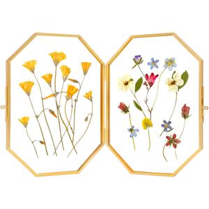 REDHUGO Double Glass Picture Frame Handmade, Glass Pressed Flower Frame, Hinged Tabletop Brass Photo Frames, Dried Flower Display Folding Frame for Home, Octagon, Gold, 57 Inches, 2 Packs