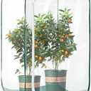 Plant Mini Greenhouse Pop up Frost Protection Enclosure PVC Clear Plant Covers with Roll-up Zipper Entry Doors, Indoor and Outdoor Gardens Protecting Plant from Cold Frost (PVC, 23x23x35in)