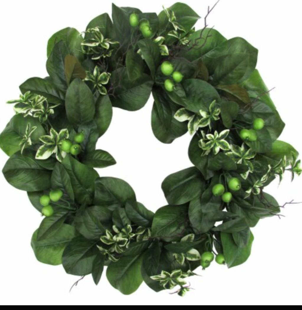 HD Designs24 Inc Magnolia Leaves/Berry Wreath