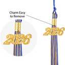 2026 Graduation Tassel, Blue and Gold Tassel for Cap Decorations for Graduation with 2026 Gold Charm, Tassels for Grad Cap Decorations Gifts, Class of 2026 Tassels Gifts Grad Decoration