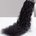 TRIIPPY Raw Water Wave Human Hair Single Bundle,Triple Lifespan Than Regular Virgin Hair No.1 Sales Of Raw Hair Bundles(14 Inches) Keep Soft and Smooth After Multiple Washes 100% Indian Raw Hair