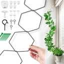 Chain Trellis for Climbing Plants - Indoor & Outdoor House Plant Accessories for Monstera, Pothos, Ivy, and More | Garden Wall Trellis and Plant Vine Support - Houseplant Accessories and Plant Gifts